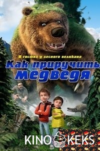 Как приручить медведя