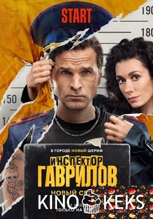 Инспектор Гаврилов