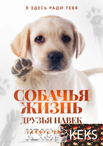Собачья жизнь: Друзья навек