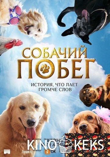 Собачий побег