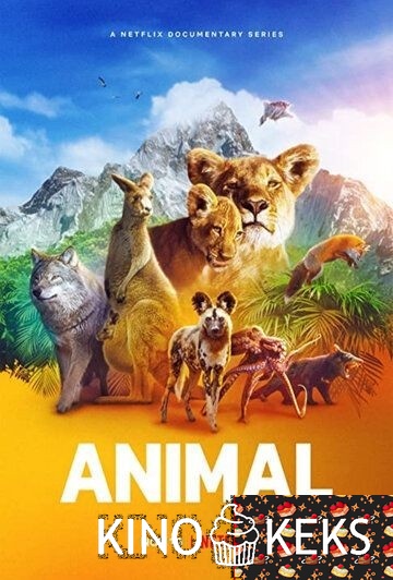 Удивительные животные 1 сезон 1-4 серия
