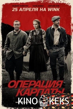 Операция «Карпаты»