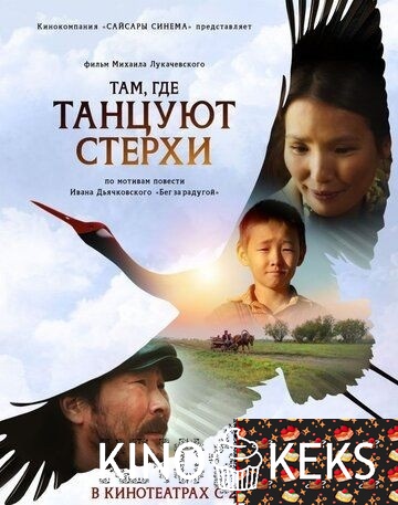 Там, где танцуют стерхи