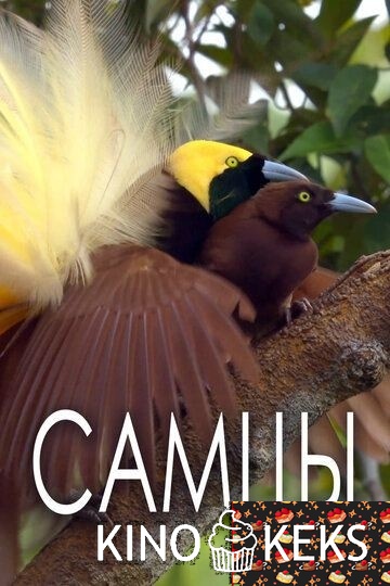 Самцы