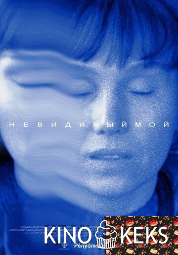 Невидимый мой