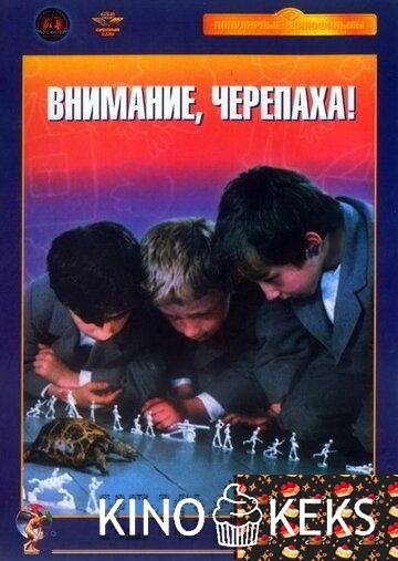 Внимание, черепаха!