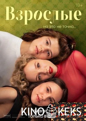 Взрослые 1 сезон 1-12 серия