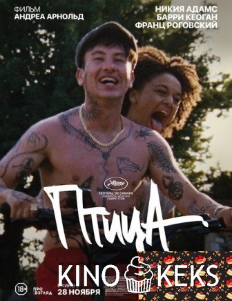 Птица