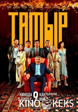 Тамыр