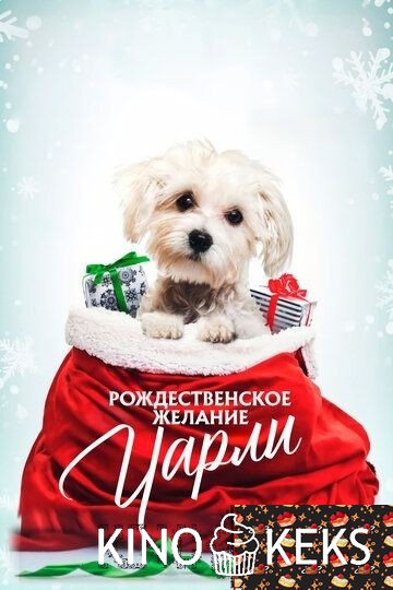 Рождественское желание Чарли