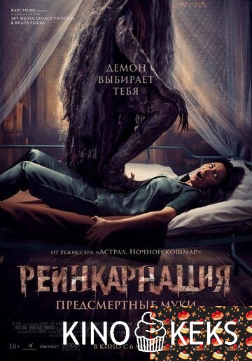 Реинкарнация. Предсмертные муки