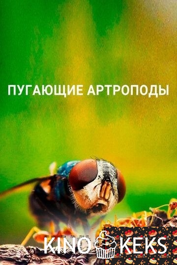 Пугающие артроподы