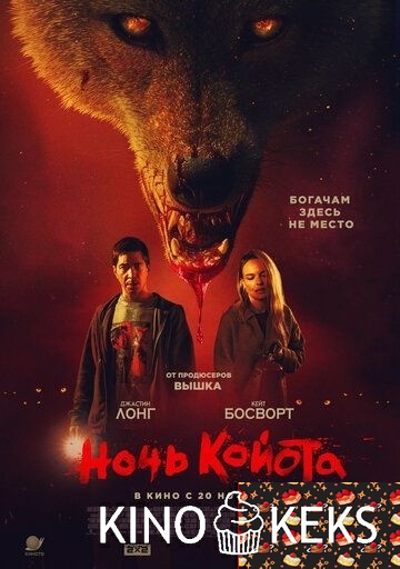 Ночь койота