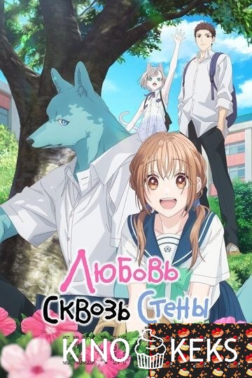Любовь сквозь стены