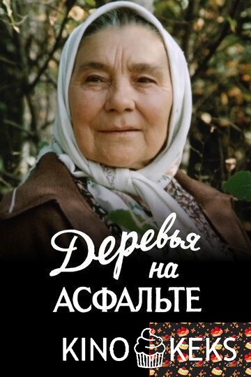 Деревья на асфальте