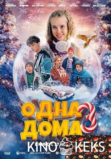 Одна дома 3