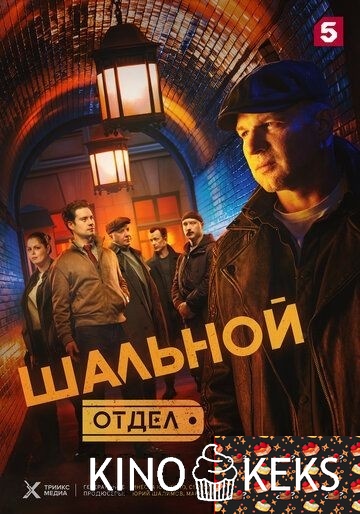 Шальной отдел 1 сезон 1-34 серия