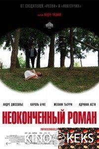 Неоконченный роман