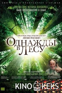 Однажды в лесу