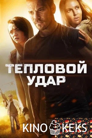 Тепловой удар
