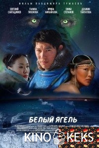 Белый ягель