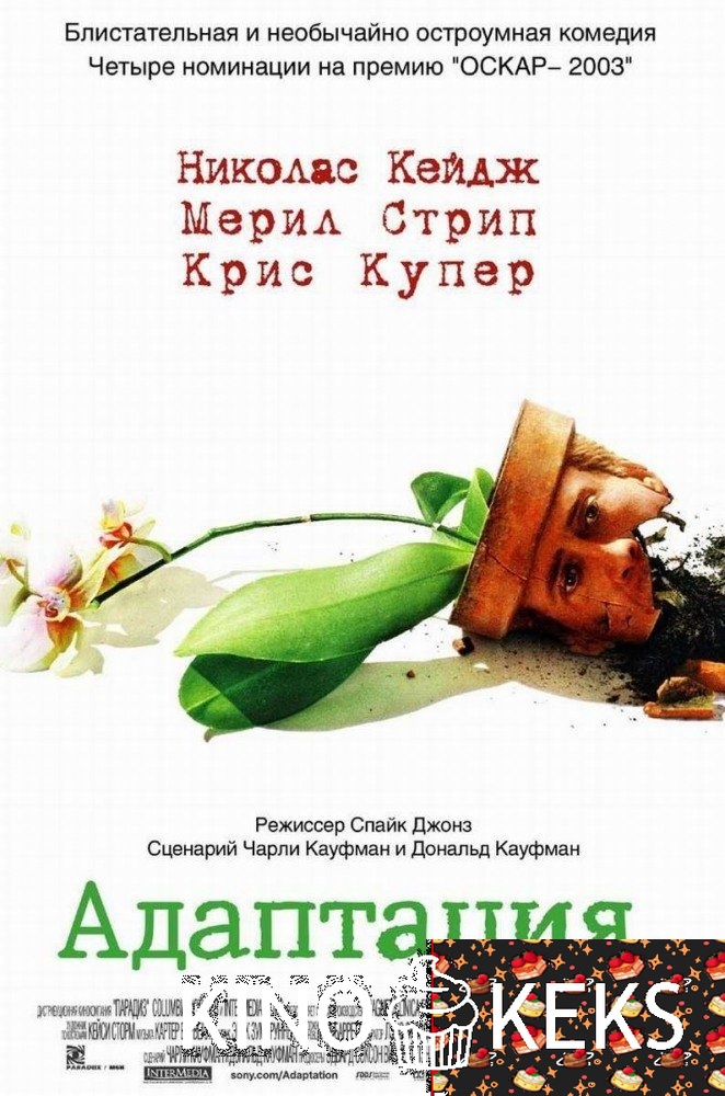 Адаптация