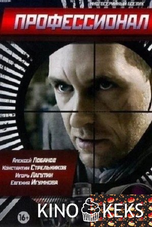 Профессионал