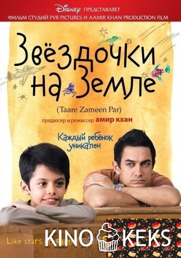 Звездочки на земле