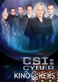 CSI: Киберпространство