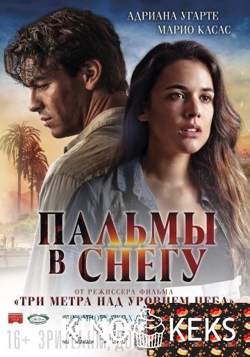 Пальмы в снегу