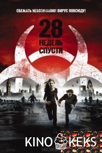 28 недель спустя