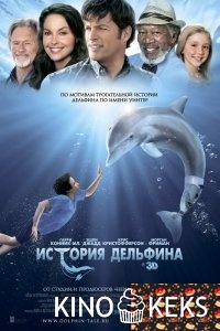 История дельфина
