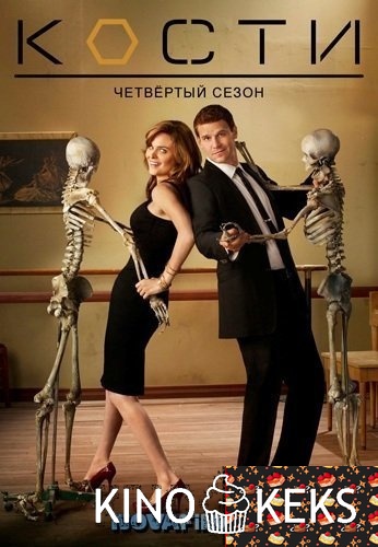 Кости