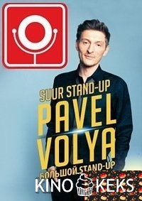 Павел Воля. Большой Stand-Up 2016