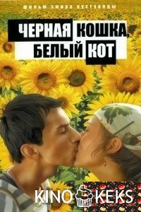 Черная кошка, белый кот