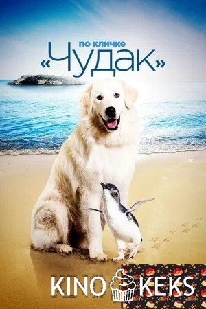 По кличке «Чудак»
