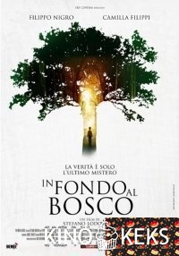 В глубине леса