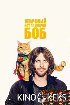 Уличный кот по кличке Боб