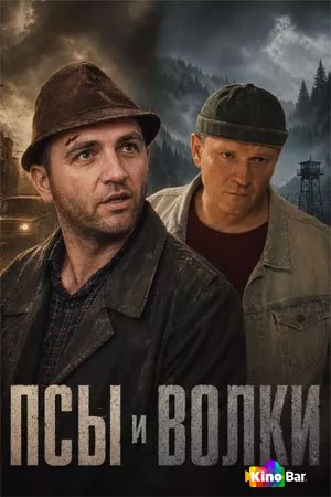 Псы и волки 1 сезон 1-10 серия