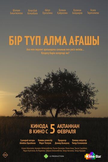 Бір түп алма ағашы / Одинокая яблоня